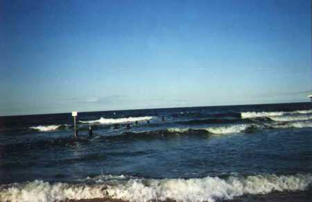 blau.jpg (10751 Byte)