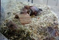 seitenblick.JPG (10002 Byte)